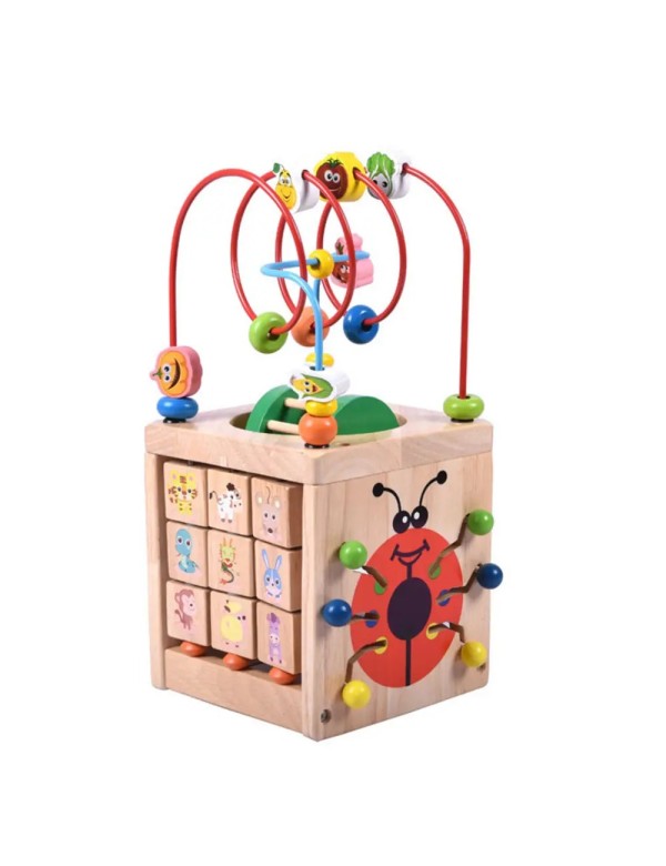 Wooden educational toy Activity Cube