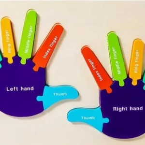 Ξύλινο εκπαιδευτικό παιχνίδι-παζλ εκμάθησης άνω άκρων